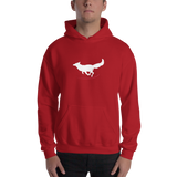 Mens Swift Fox Hoodie